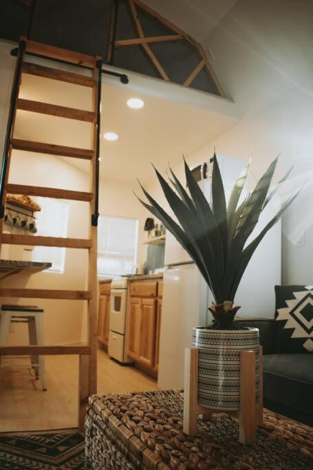 Agave Tiny House At Cactus Flower-Hot Tub-Pet Friendly-No Pet Fees! Albuquerque Bagian luar foto