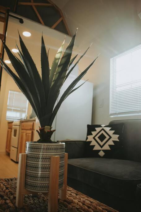 Agave Tiny House At Cactus Flower-Hot Tub-Pet Friendly-No Pet Fees! Albuquerque Bagian luar foto